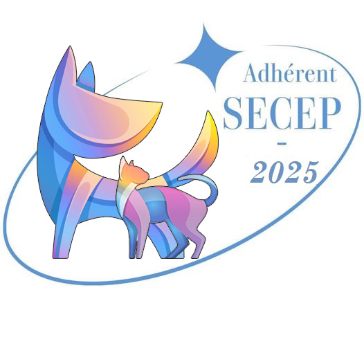 MACARON adherent 2025